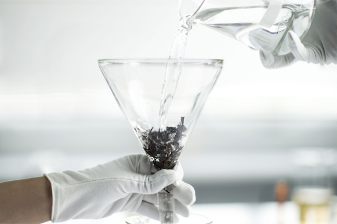 Cha Ling: Spirit of Tea In Refillable Porcelain Pots