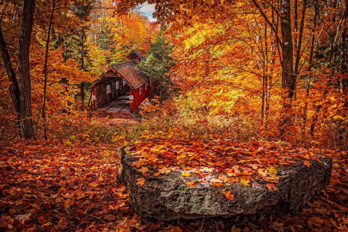 Where to Go for the Best Autumn Foliage
