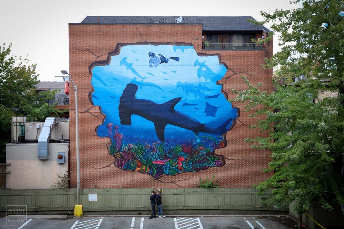 “Sharkwater” Filmmaker Memorial Mural