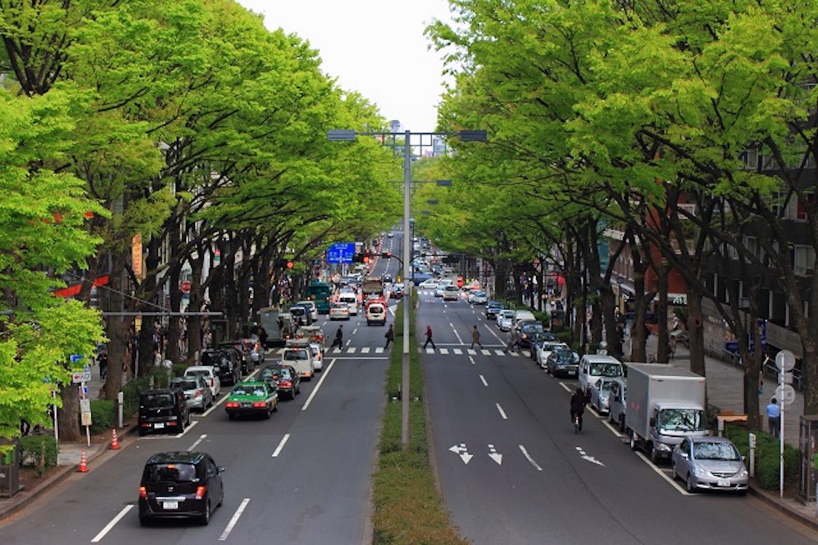 10 Things to Do in Omotesando—Tokyo’s “Champs-Élysées”