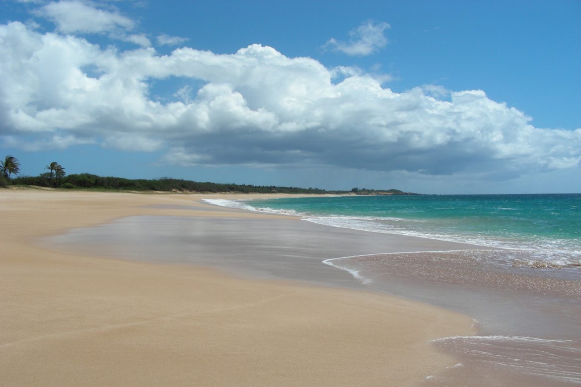 Healing the land on Molokai, Hawaii