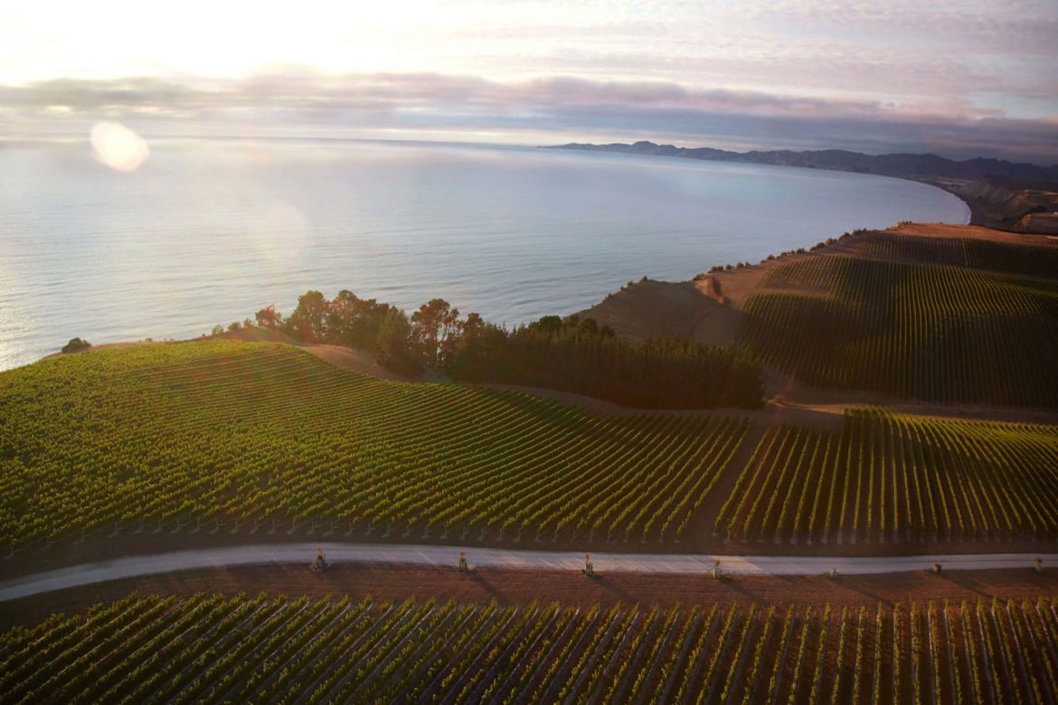 NZ Yealands Estate “Most Successful Winery”