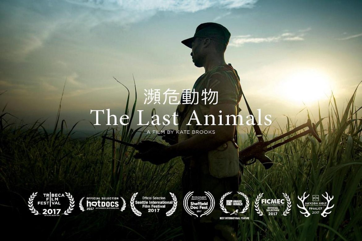 Saving the Planet’s “Last Animals”: A Documentary